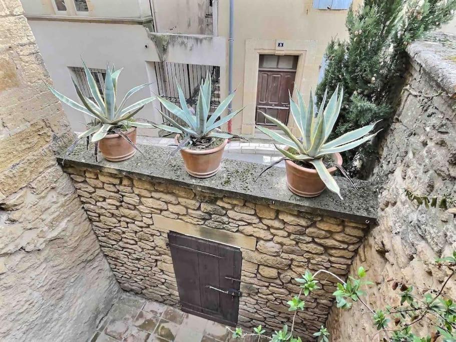 Chez Lydia - Loft Cosy, Depart Canoe A Pied, Proche Pont-Du-Gard Et Uzes Remoulins Extérieur photo